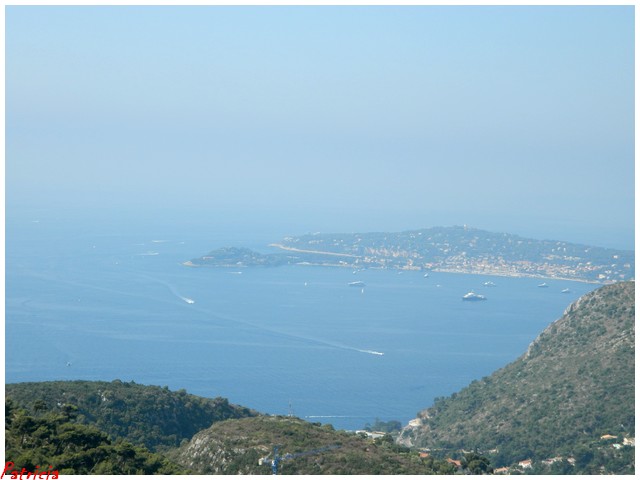 vue11