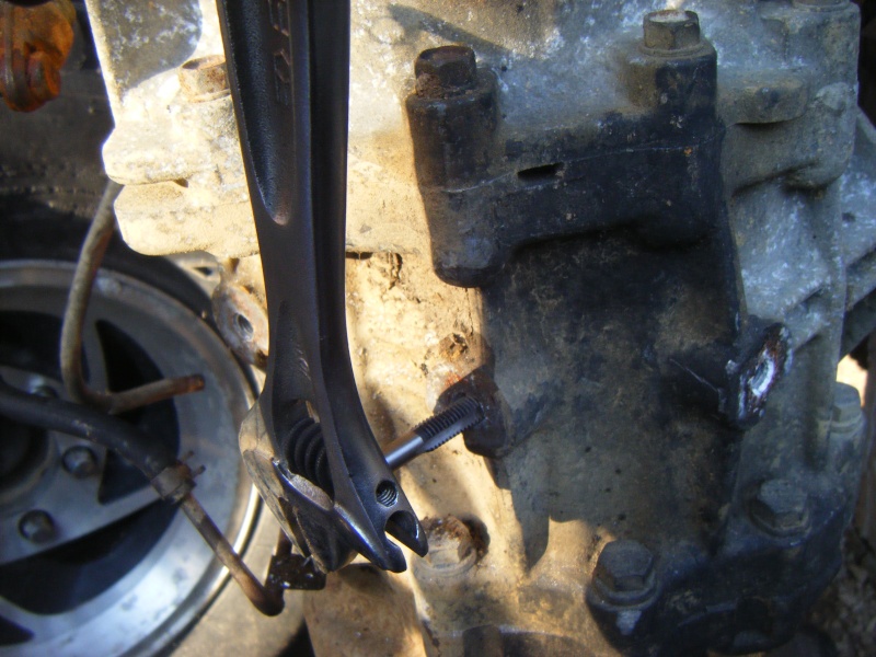 dscf2113.jpg
