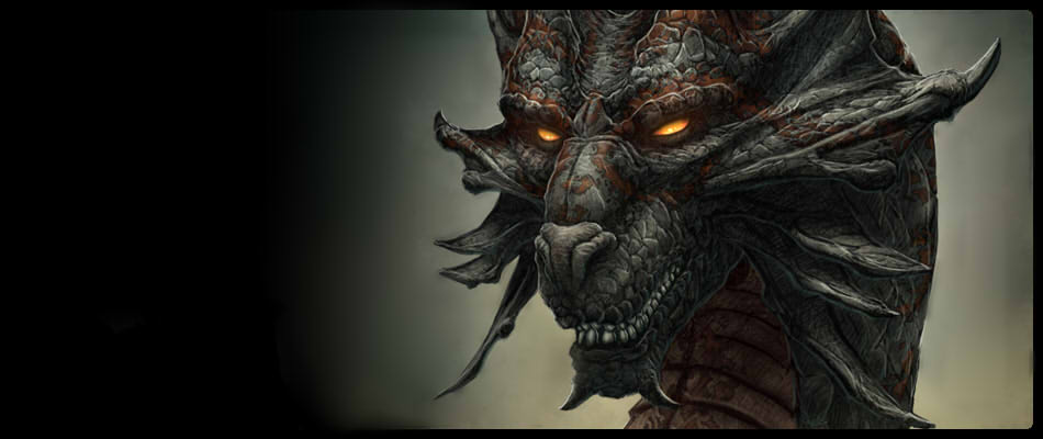 Dragon Rider's Life