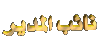 نائب المدير نائب المدير