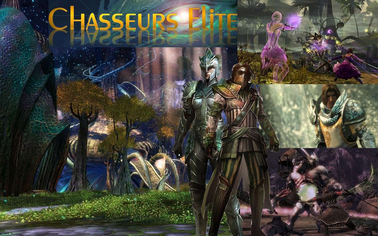 Forum Chasseurs Elite Guild Wars 2