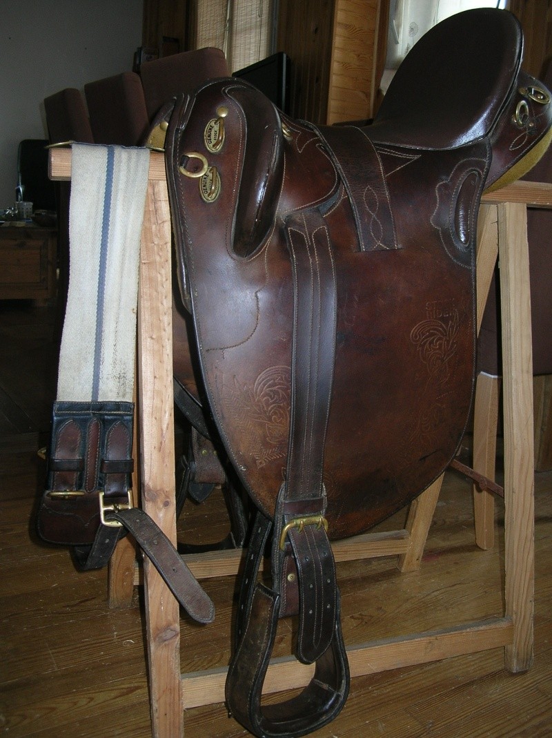 saddle10.jpg