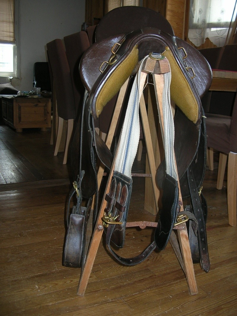 saddle11.jpg