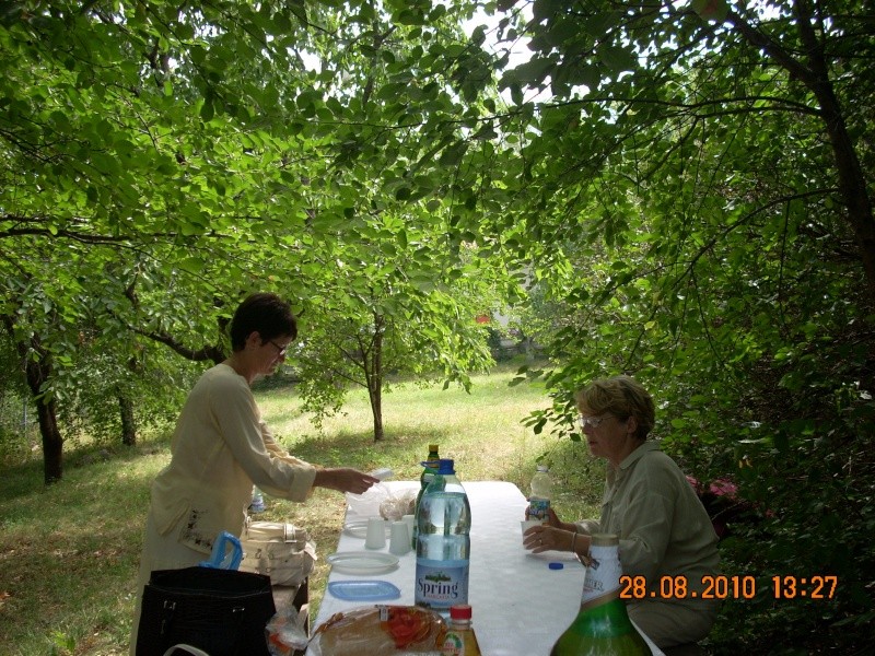 picnic24.jpg