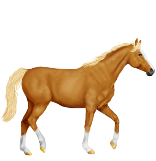 cheval13.png