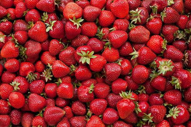 fraise10.jpg
