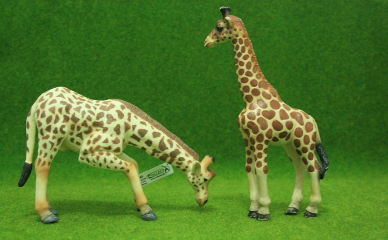 giraff15.jpg