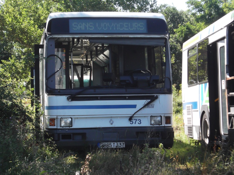 bus34_14.jpg